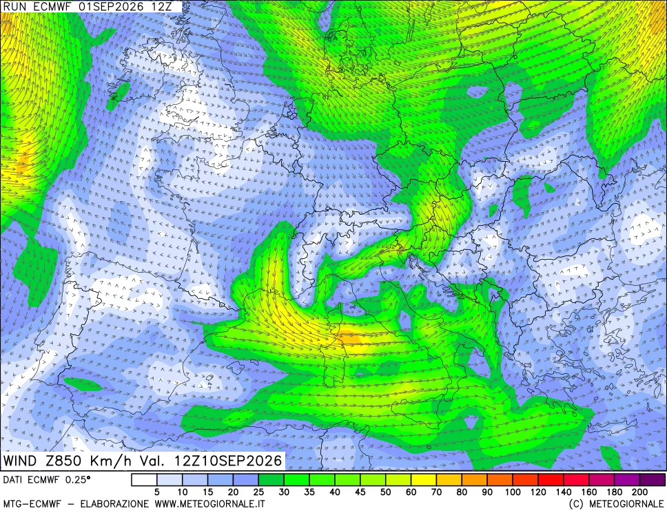 mappa Direzione e forza del vento a 850hPa