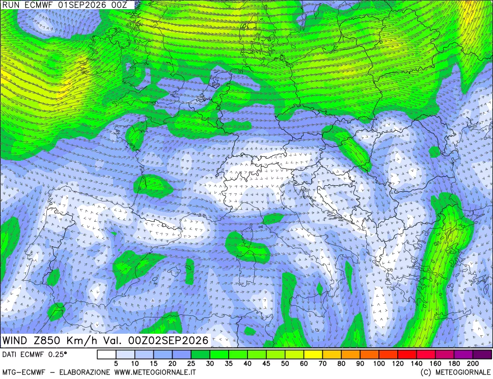 mappa Direzione e forza del vento a 850hPa