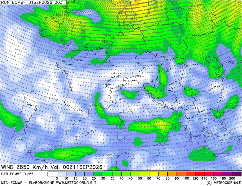 mappa Direzione e forza del vento a 850hPa