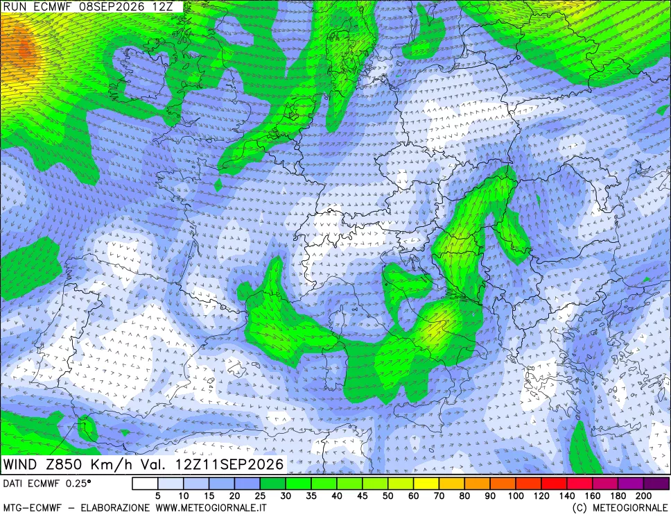 mappa Direzione e forza del vento a 850hPa
