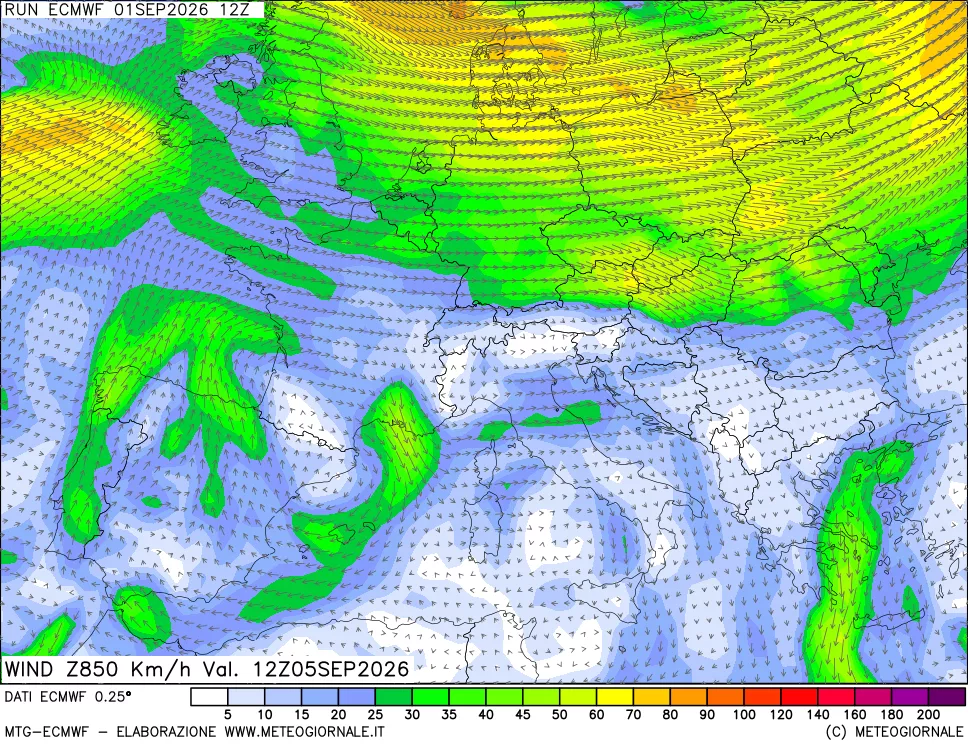 mappa Direzione e forza del vento a 850hPa