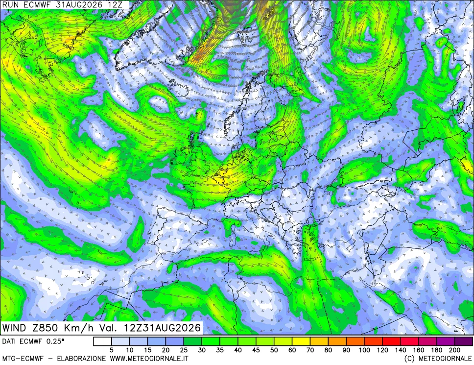 mappa Direzione e forza del vento a 850hPa