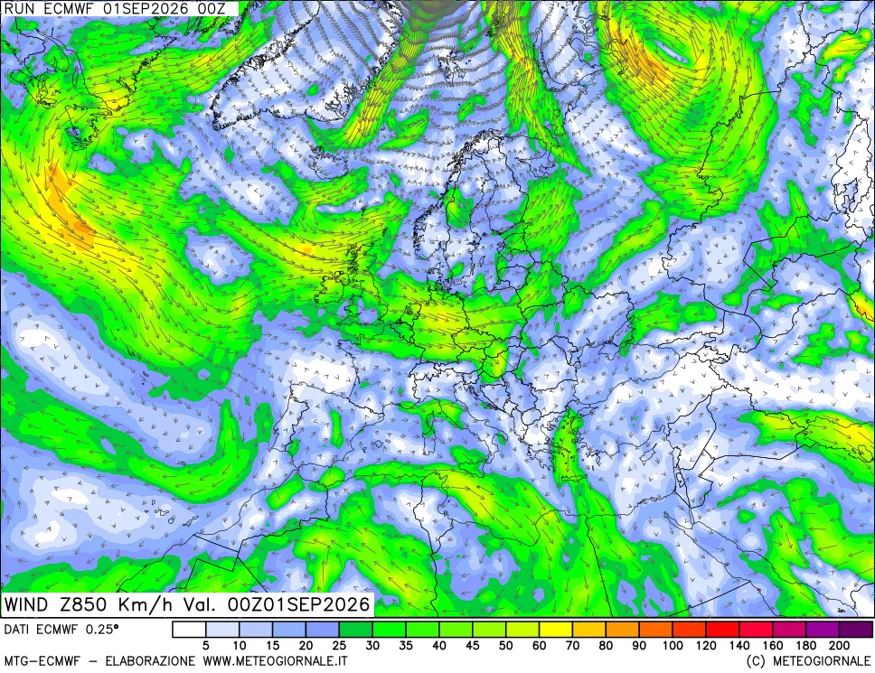 mappa Direzione e forza del vento a 850hPa