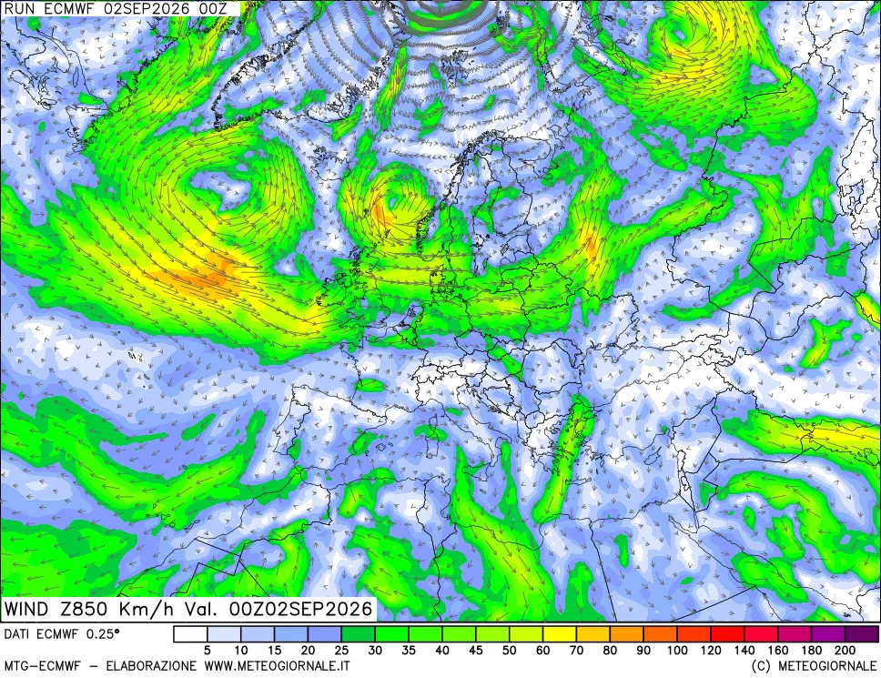 mappa Direzione e forza del vento a 850hPa