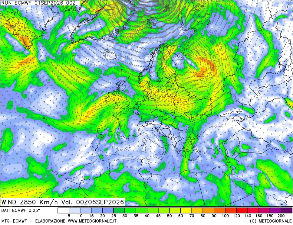 mappa Direzione e forza del vento a 850hPa