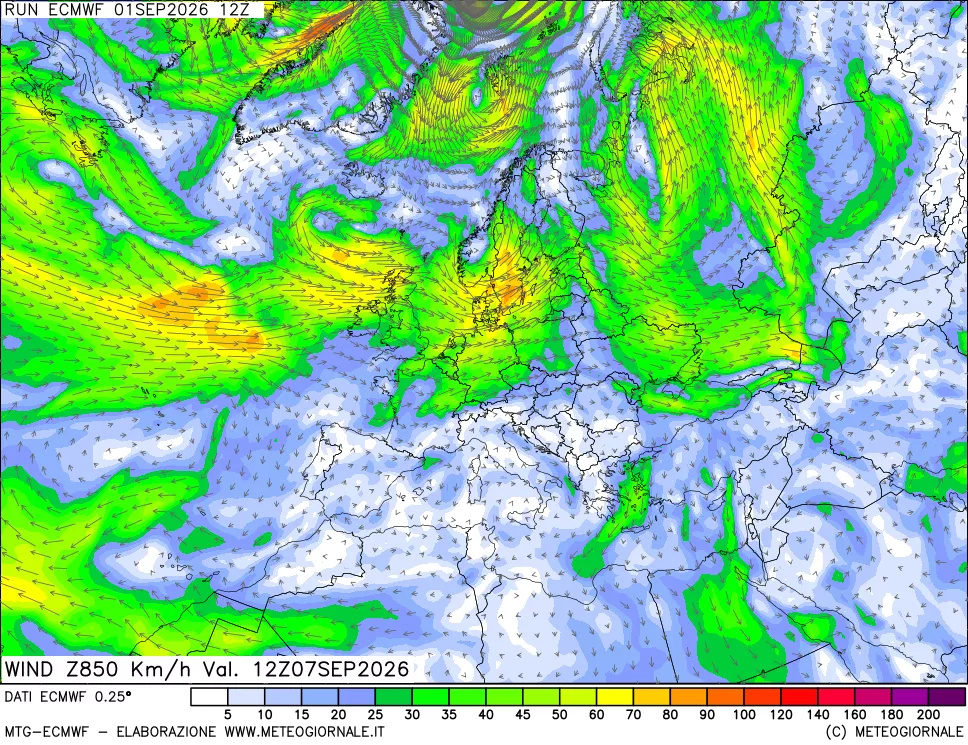 mappa Direzione e forza del vento a 850hPa