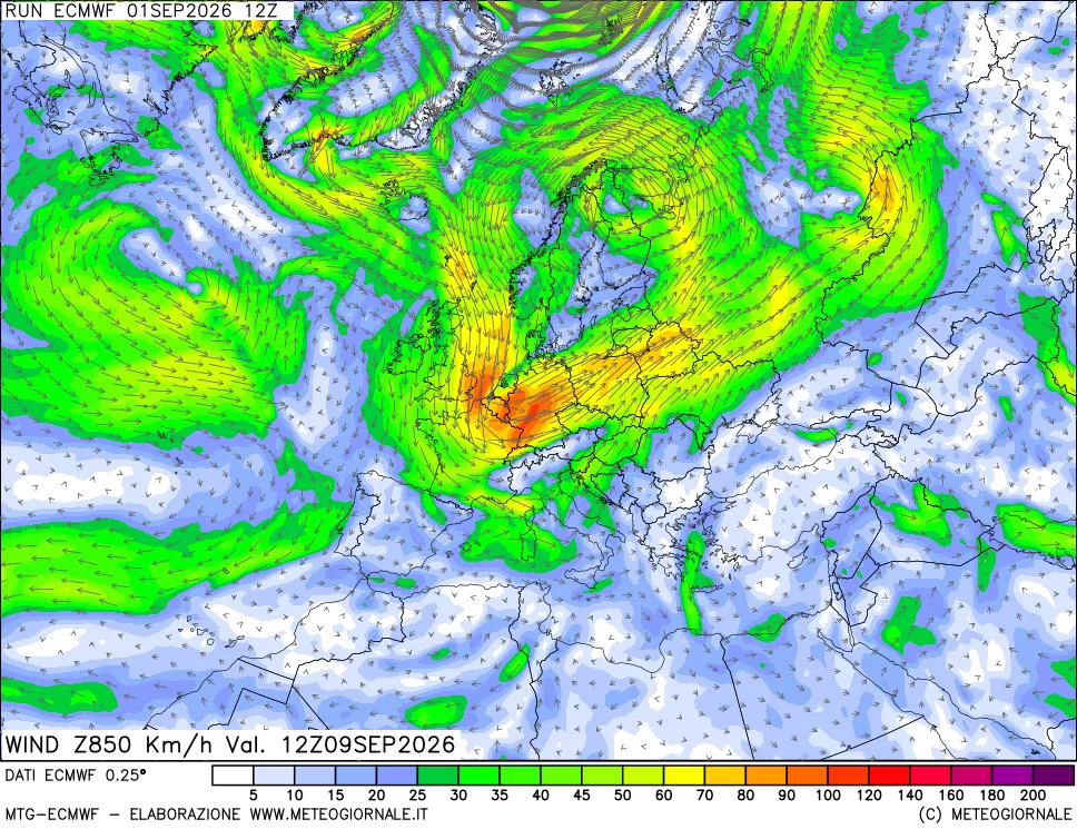 mappa Direzione e forza del vento a 850hPa