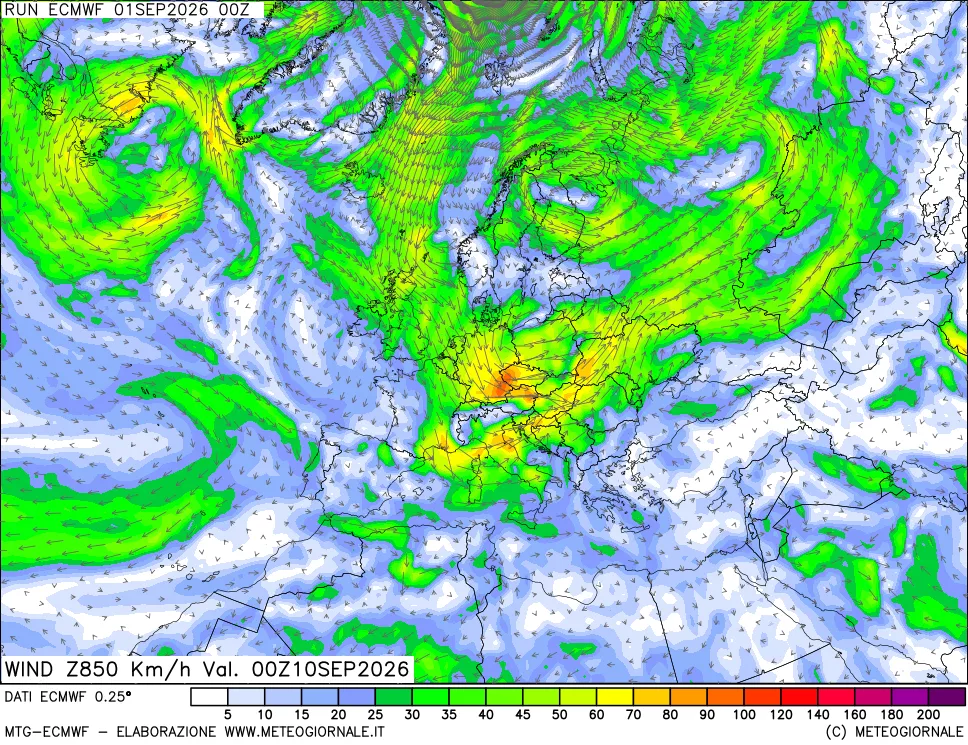 mappa Direzione e forza del vento a 850hPa