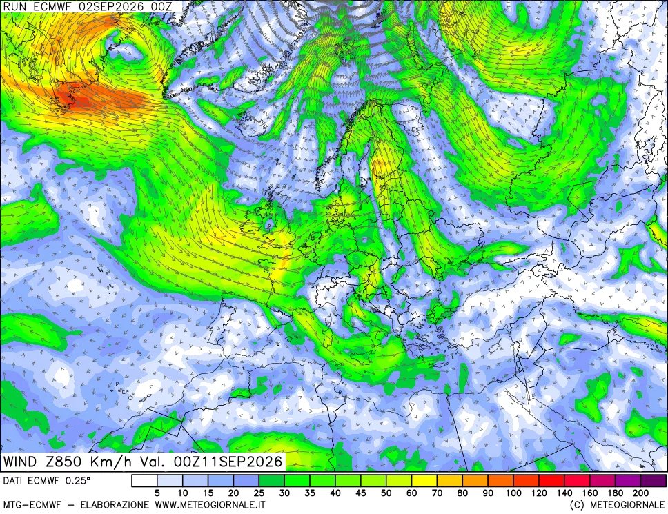 mappa Direzione e forza del vento a 850hPa
