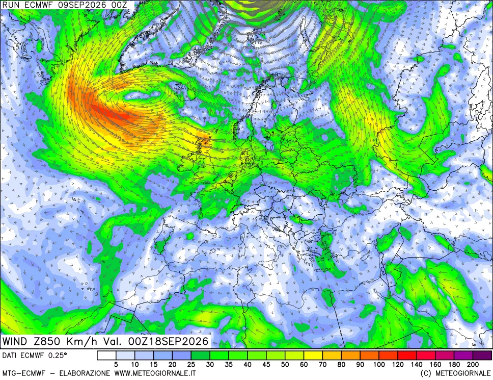 mappa Direzione e forza del vento a 850hPa