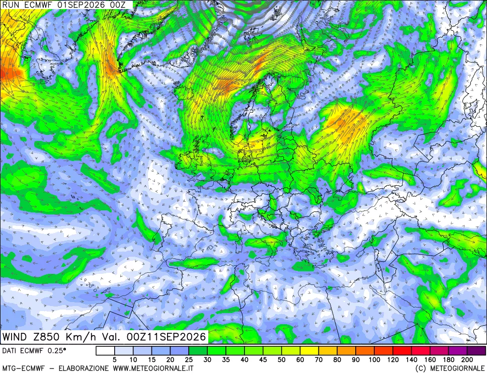 mappa Direzione e forza del vento a 850hPa
