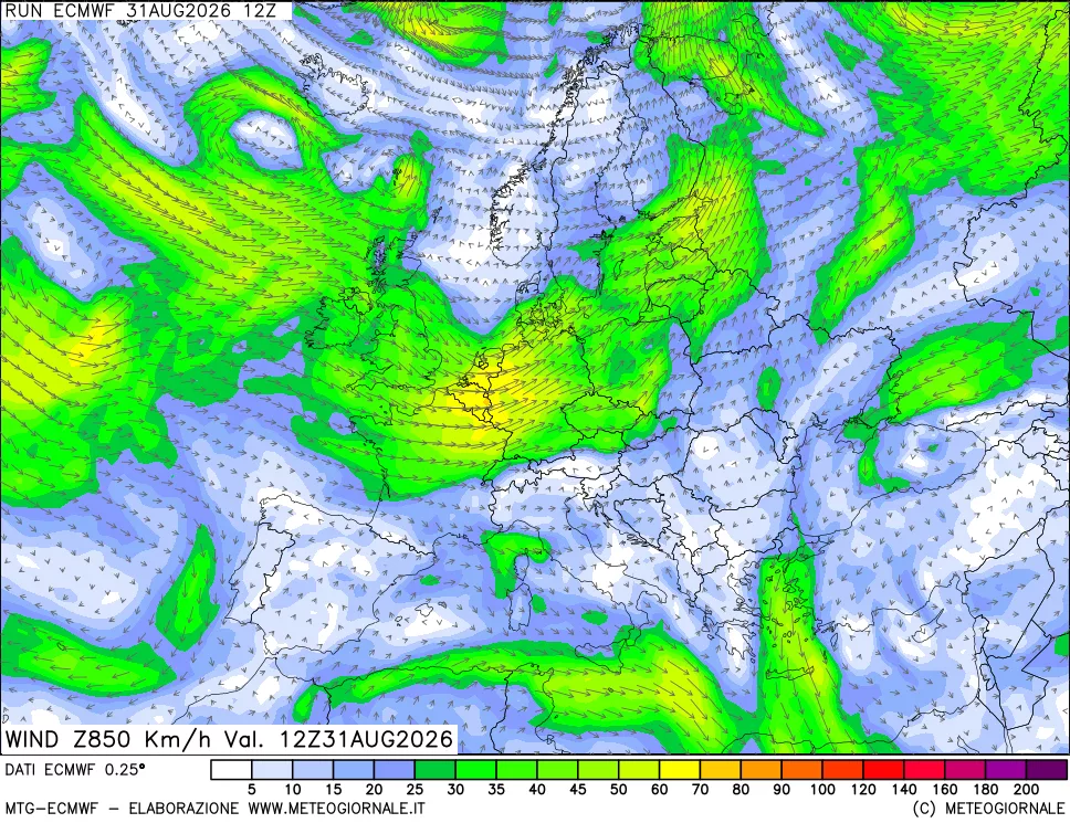 mappa Direzione e forza del vento a 850hPa