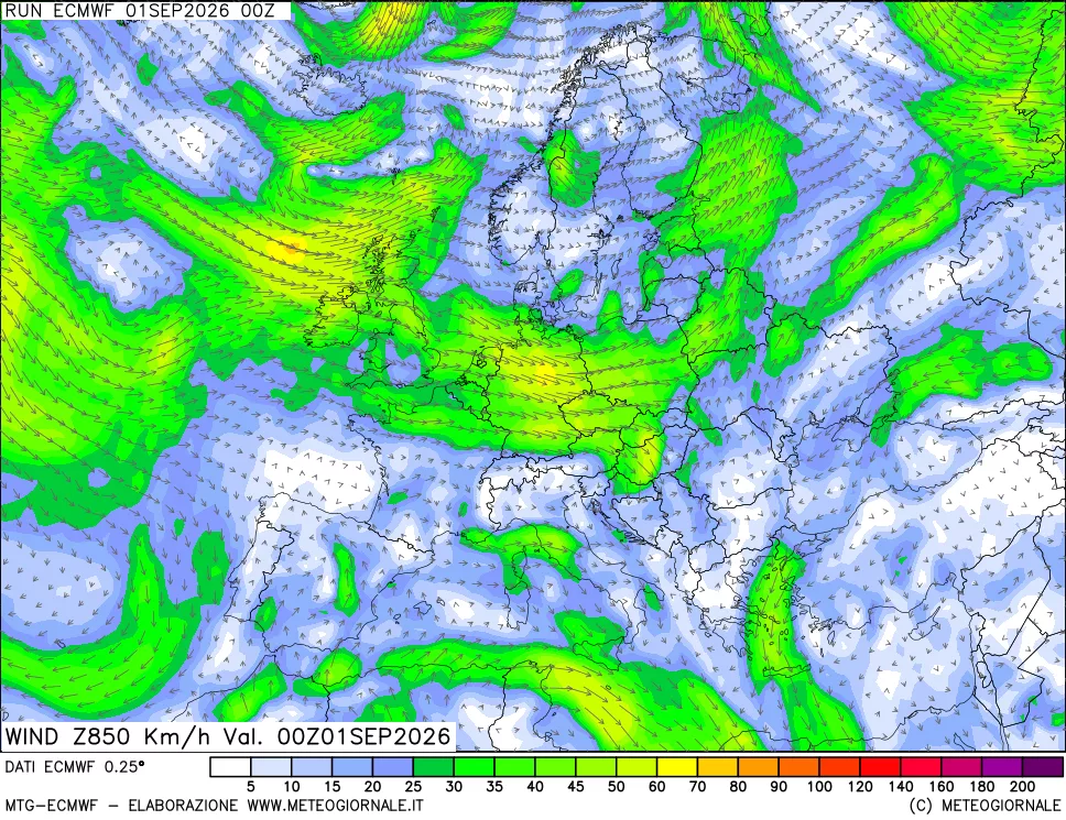 mappa Direzione e forza del vento a 850hPa