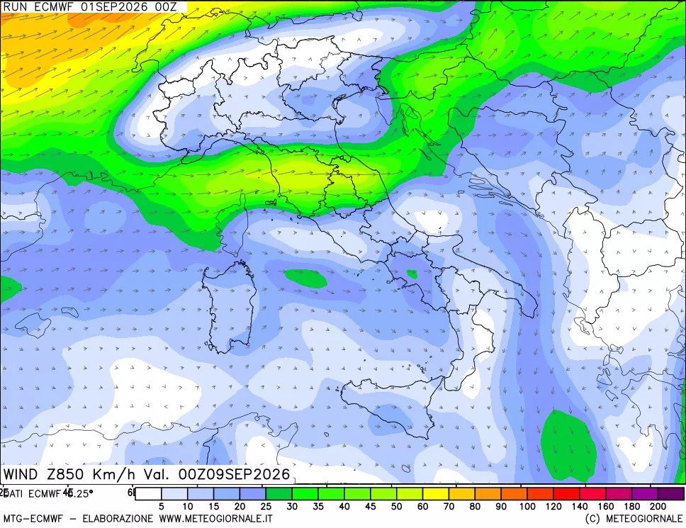 mappa Direzione e forza del vento a 850hPa