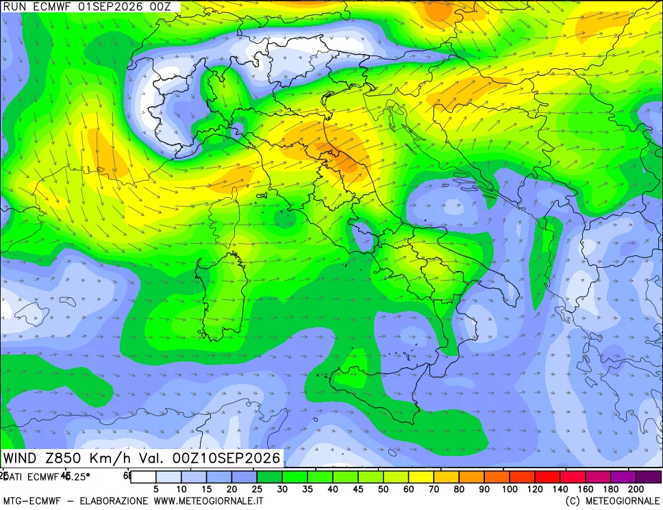 mappa Direzione e forza del vento a 850hPa
