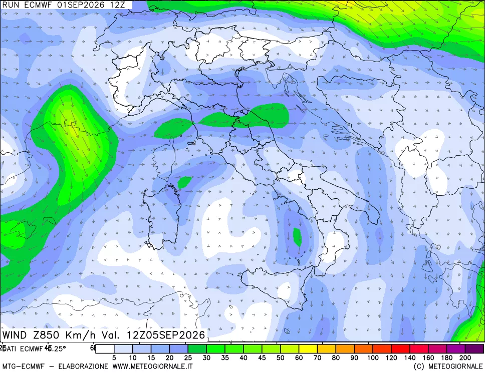 mappa Direzione e forza del vento a 850hPa
