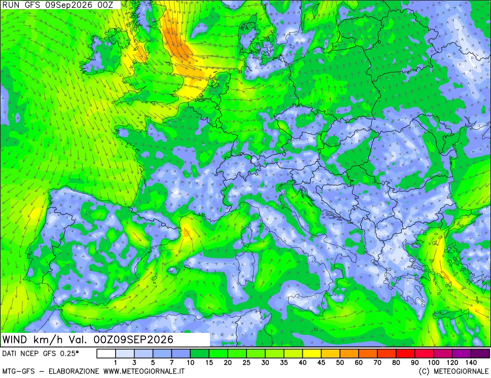mappa 10 m Vento forza e direzione