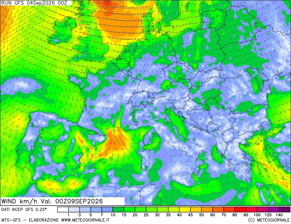 mappa 10 m Vento forza e direzione