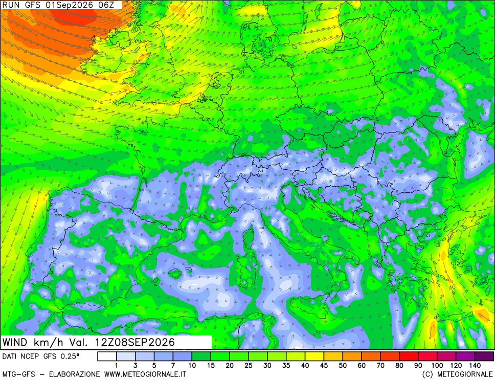 mappa 10 m Vento forza e direzione