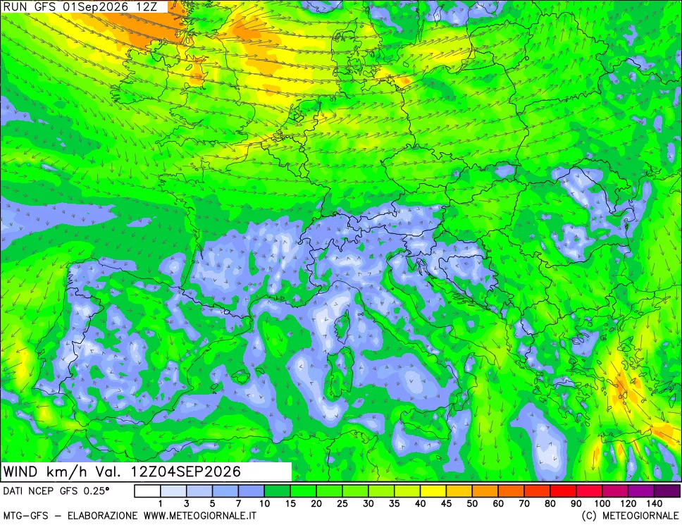 mappa 10 m Vento forza e direzione