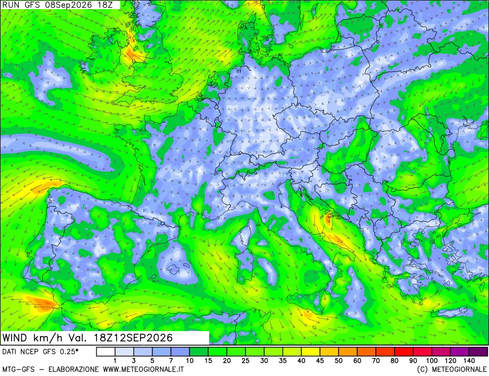 mappa 10 m Vento forza e direzione