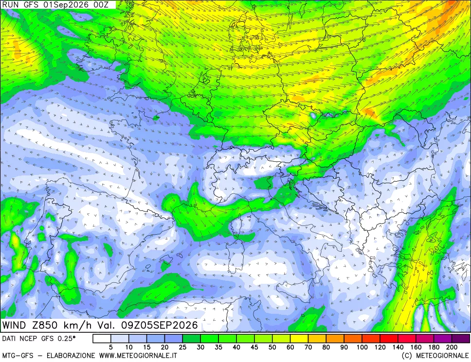 mappa 850 hPa Vento forza e direzione