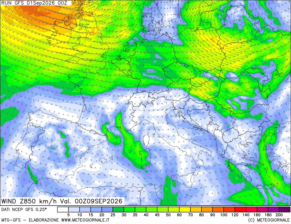 mappa 850 hPa Vento forza e direzione