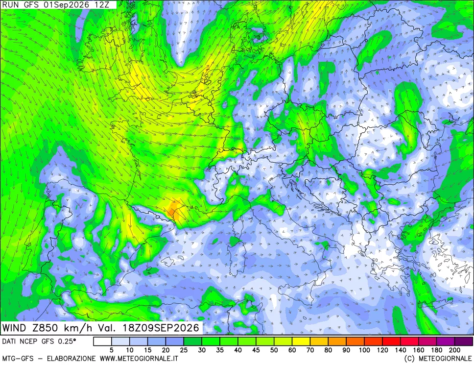 mappa 850 hPa Vento forza e direzione