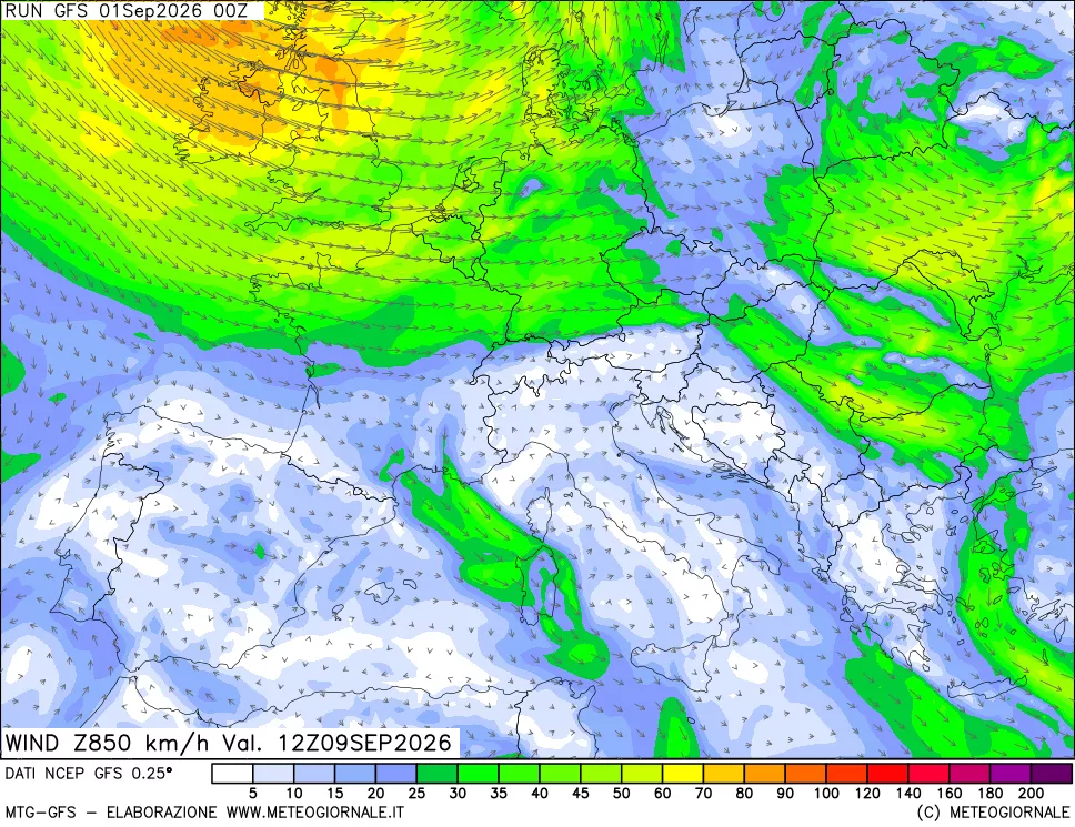 mappa 850 hPa Vento forza e direzione