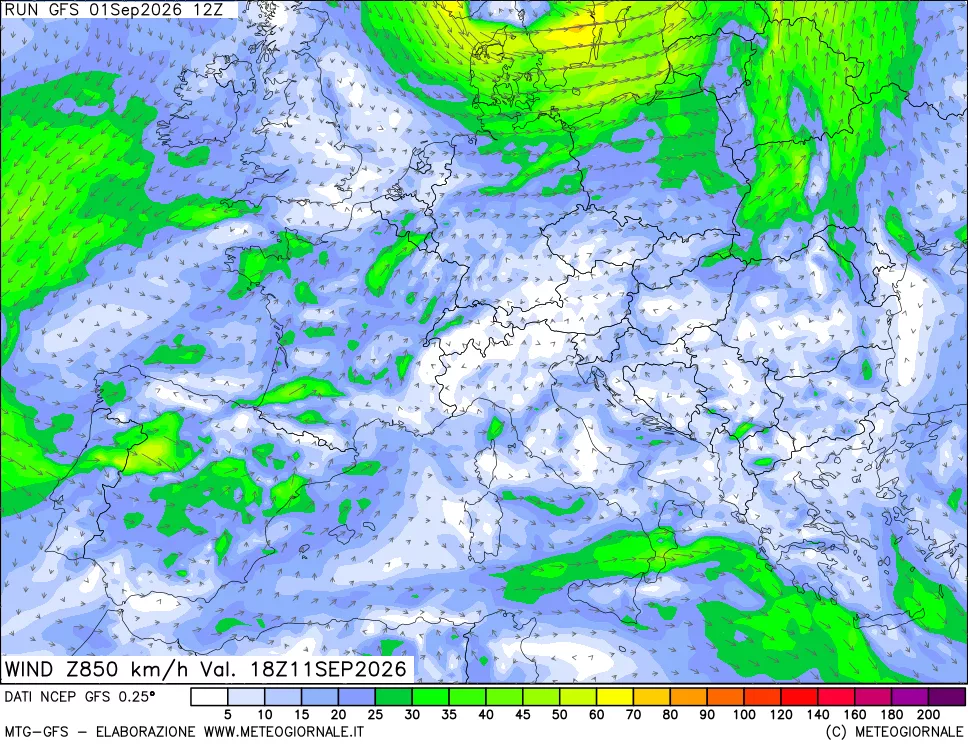 mappa 850 hPa Vento forza e direzione