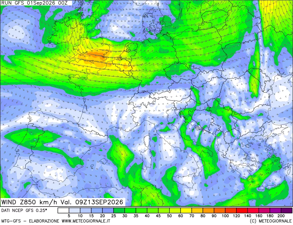mappa 850 hPa Vento forza e direzione