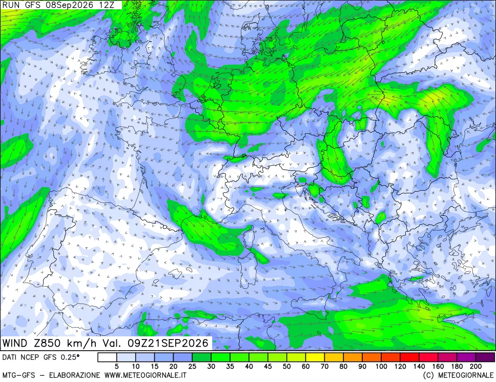 mappa 850 hPa Vento forza e direzione