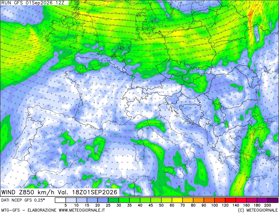 mappa 850 hPa Vento forza e direzione