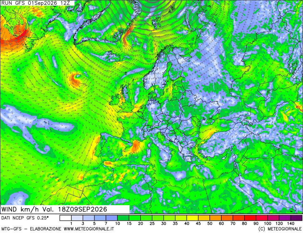 mappa 10 m Vento forza e direzione