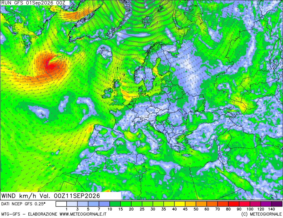 mappa 10 m Vento forza e direzione
