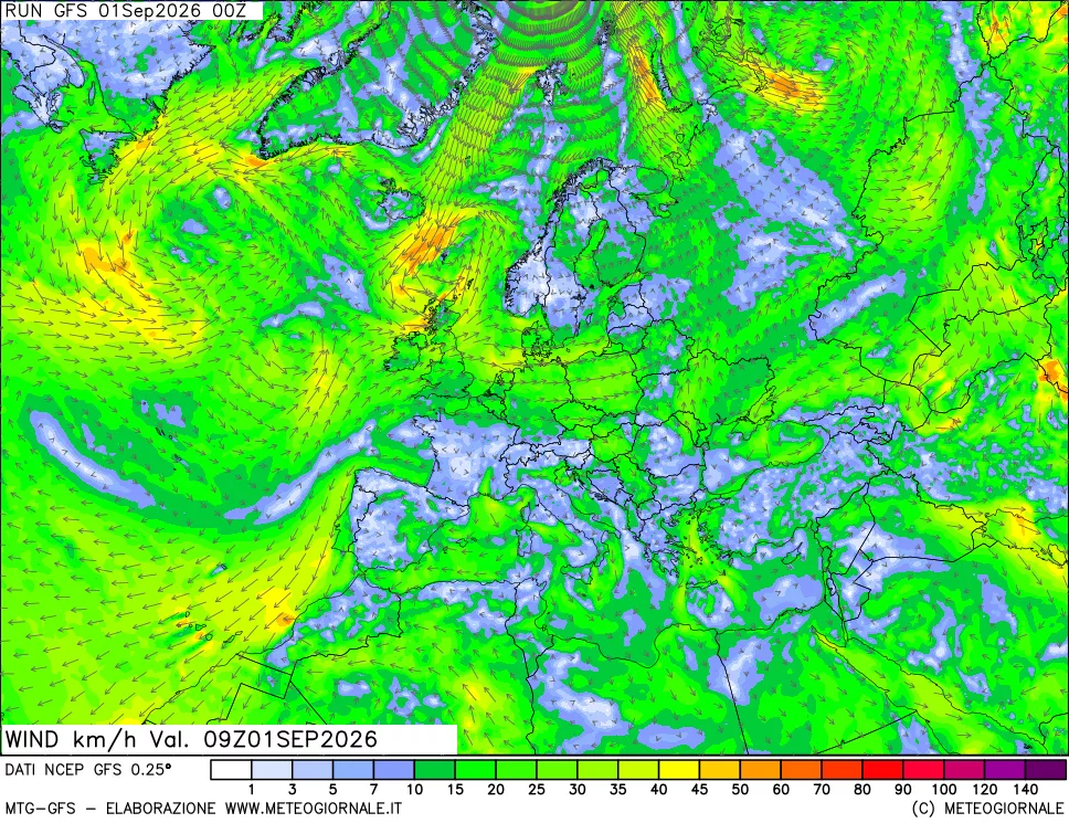 mappa 10 m Vento forza e direzione