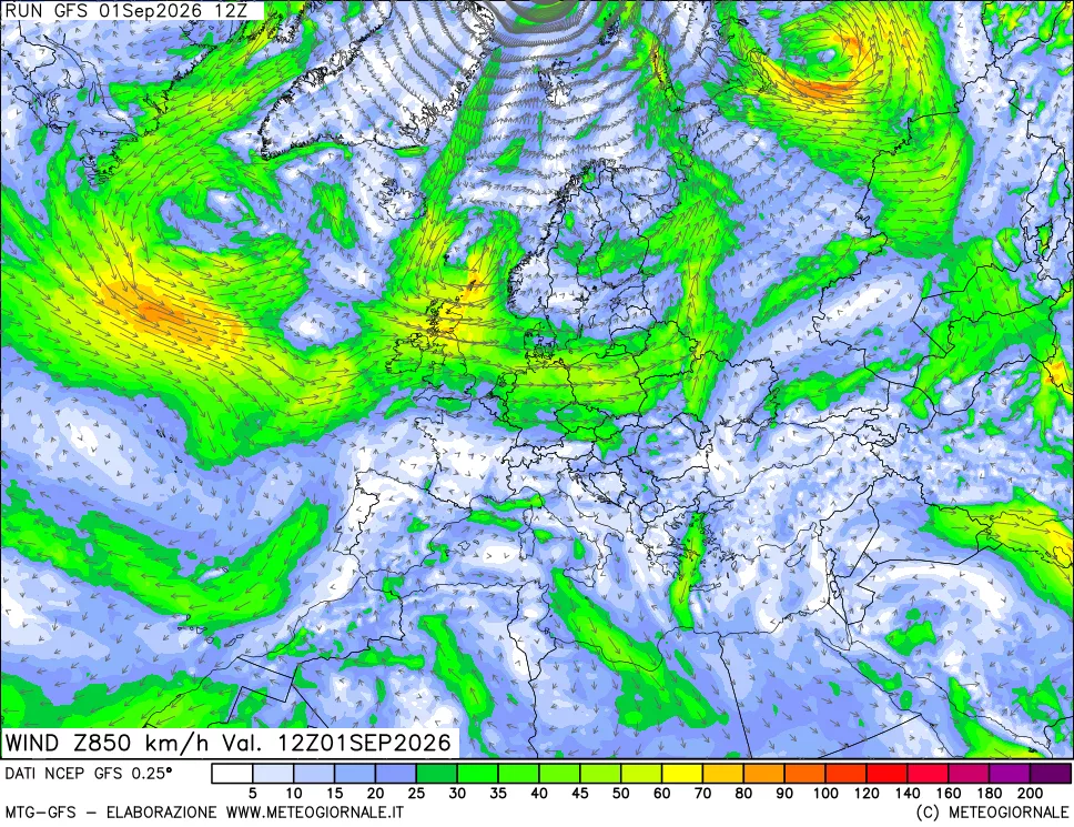 mappa 850 hPa Vento forza e direzione