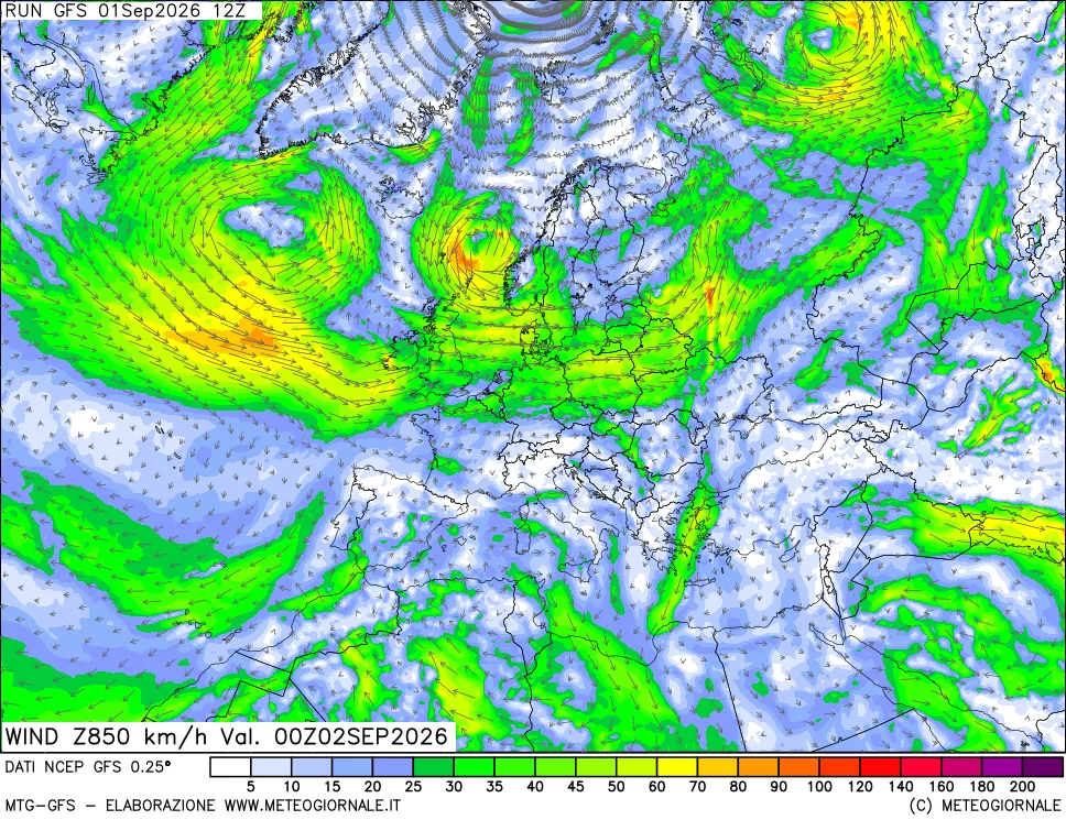 mappa 850 hPa Vento forza e direzione