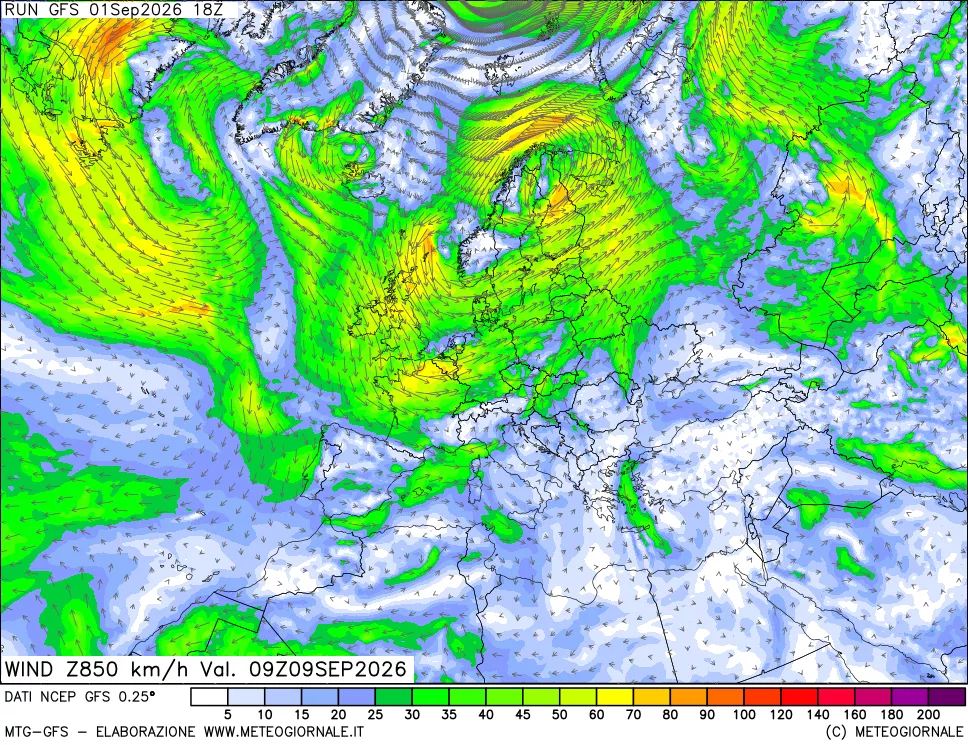 mappa 850 hPa Vento forza e direzione