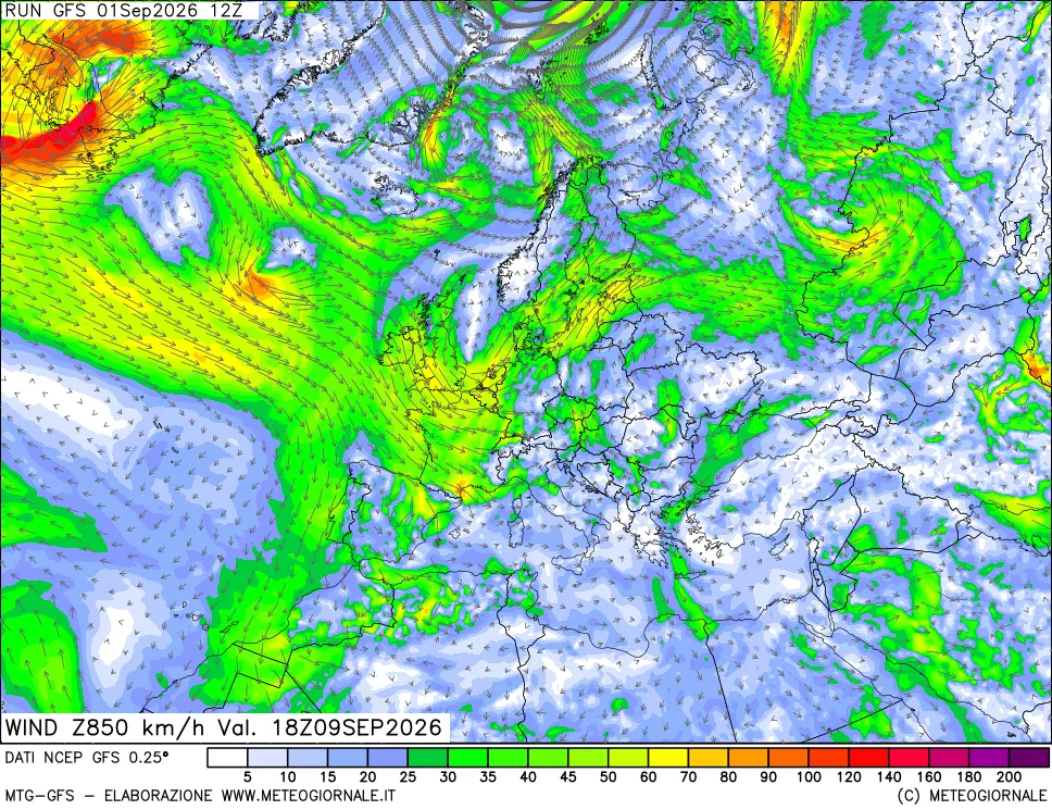 mappa 850 hPa Vento forza e direzione