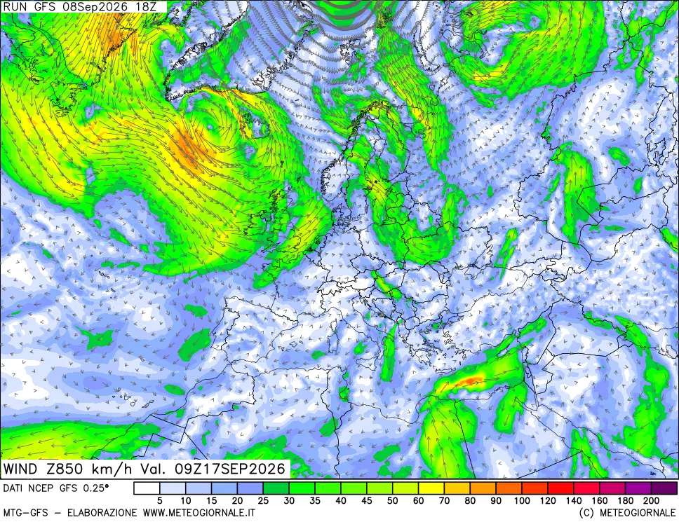 mappa 850 hPa Vento forza e direzione