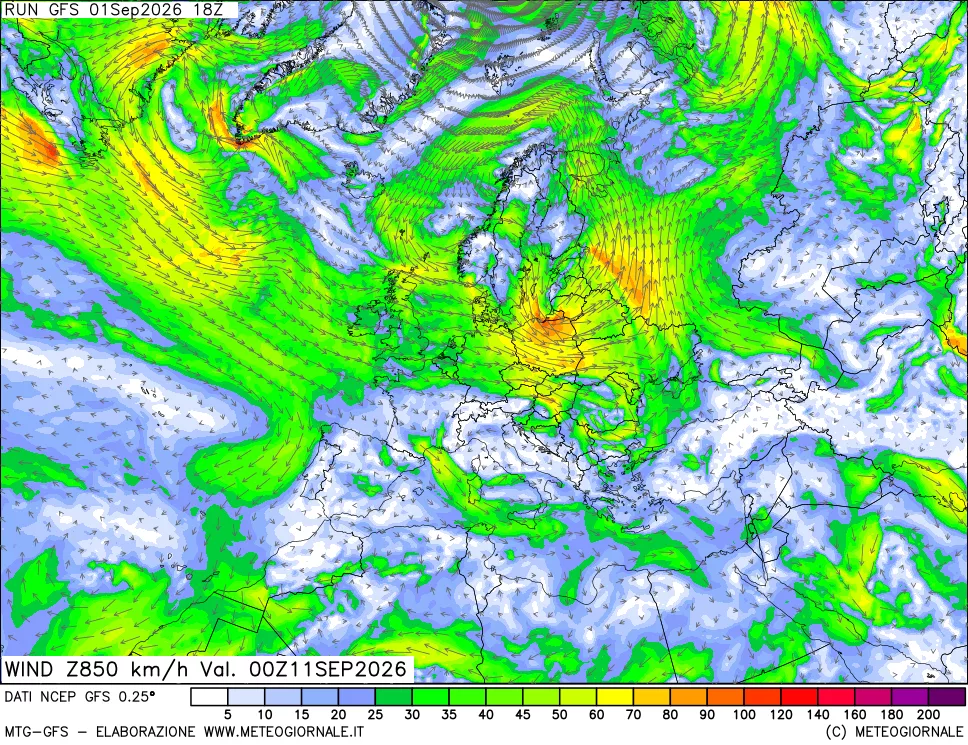 mappa 850 hPa Vento forza e direzione
