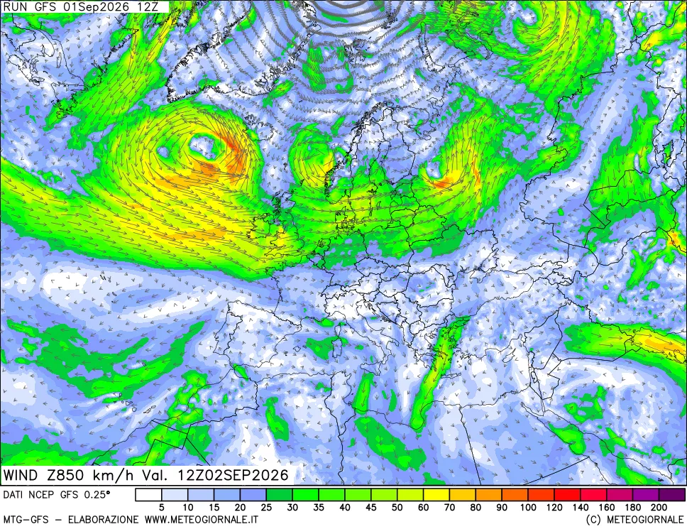 mappa 850 hPa Vento forza e direzione