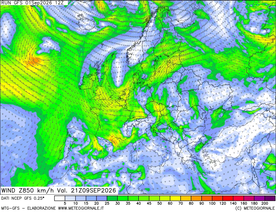 mappa 850 hPa Vento forza e direzione