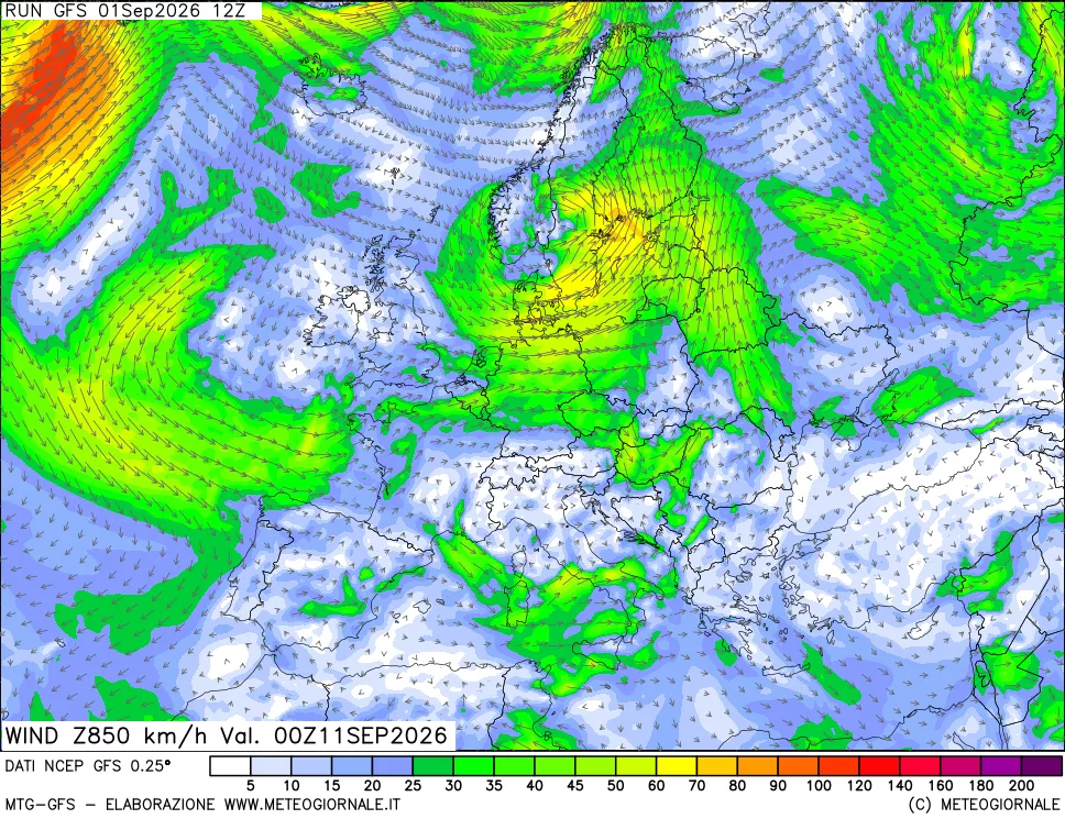 mappa 850 hPa Vento forza e direzione