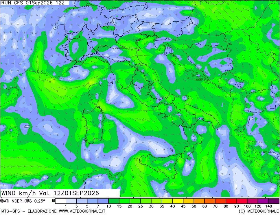 mappa 10 m Vento forza e direzione