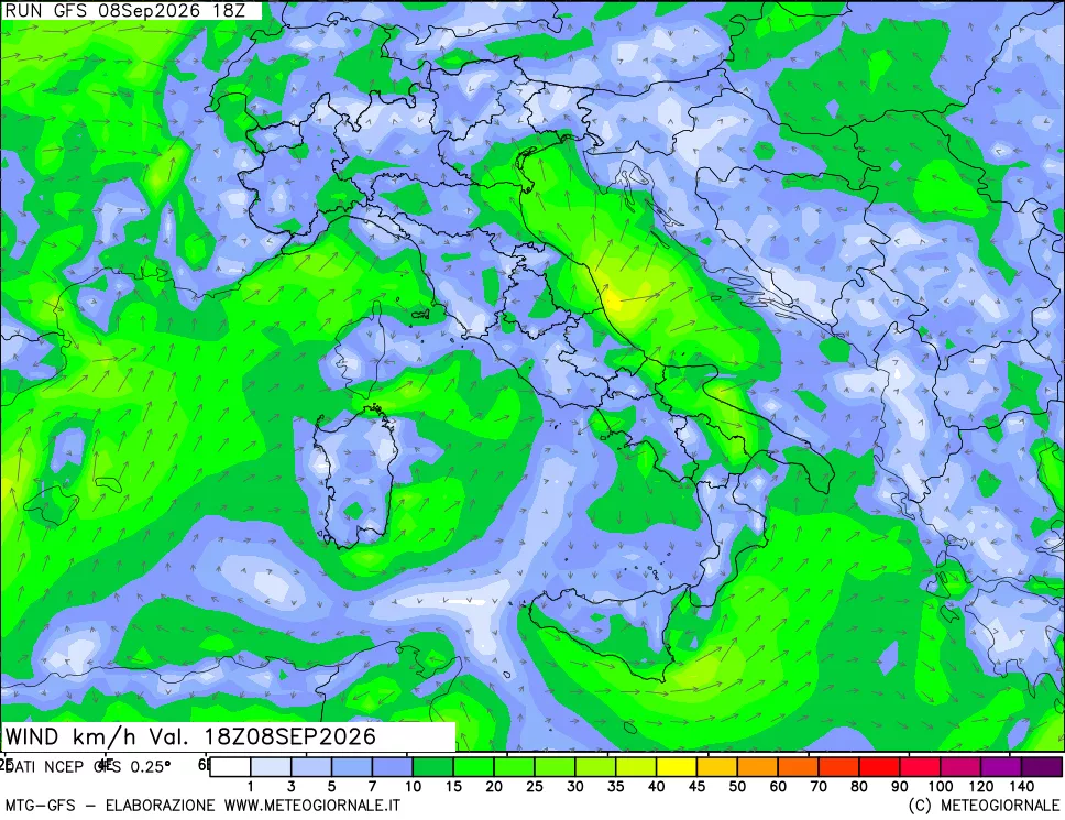 mappa 10 m Vento forza e direzione