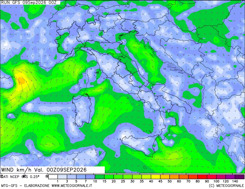 mappa 10 m Vento forza e direzione