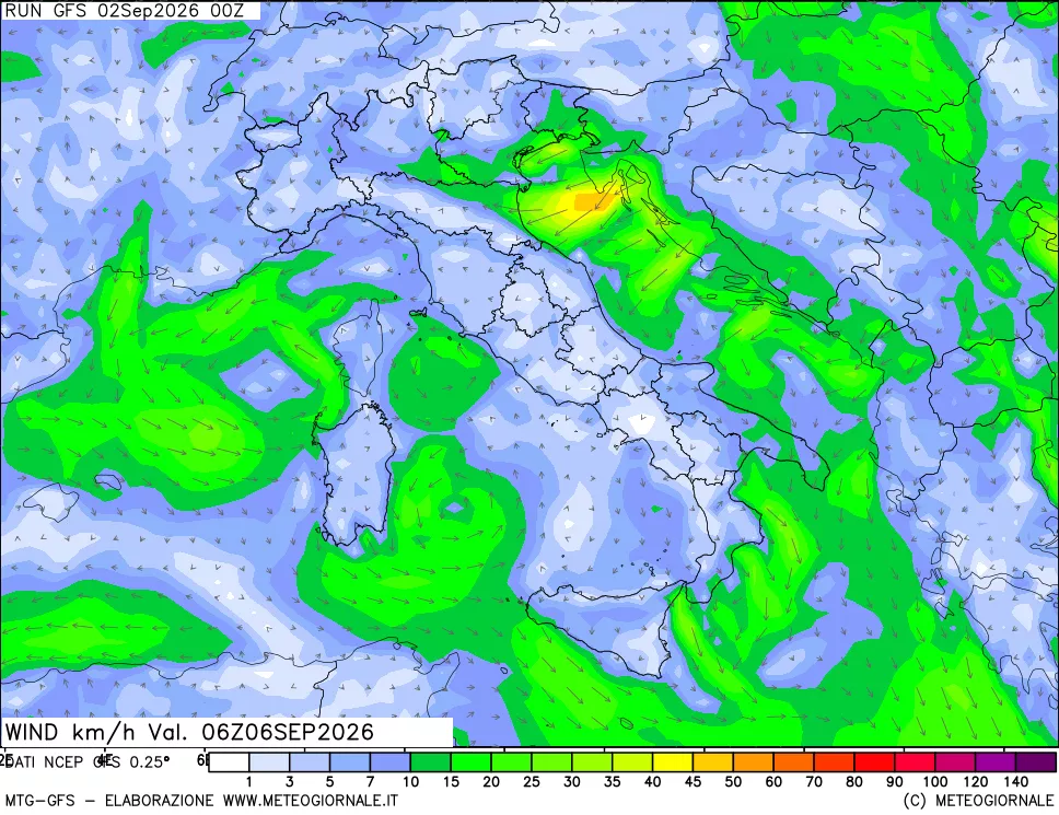 mappa 10 m Vento forza e direzione