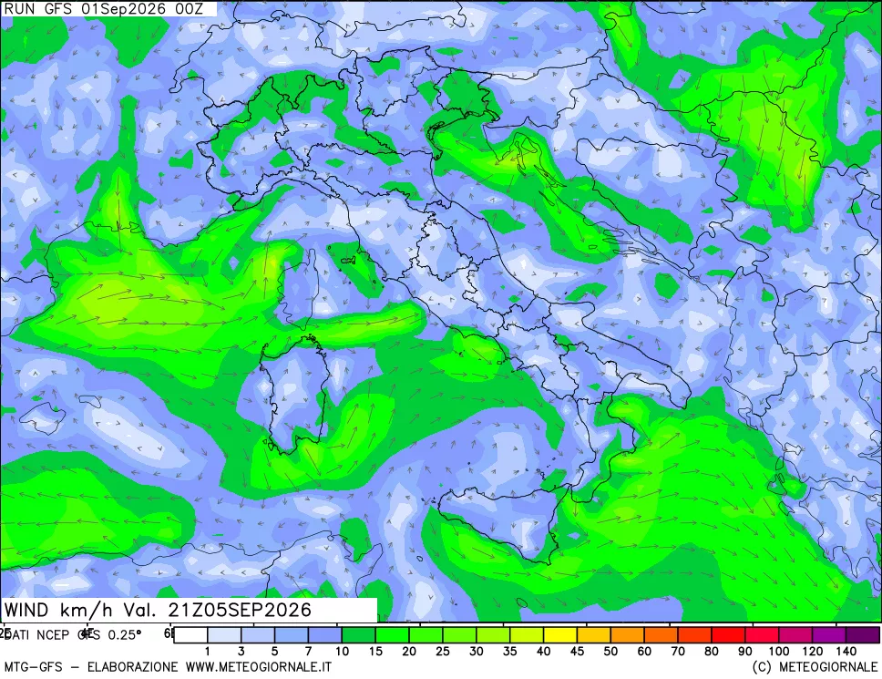mappa 10 m Vento forza e direzione